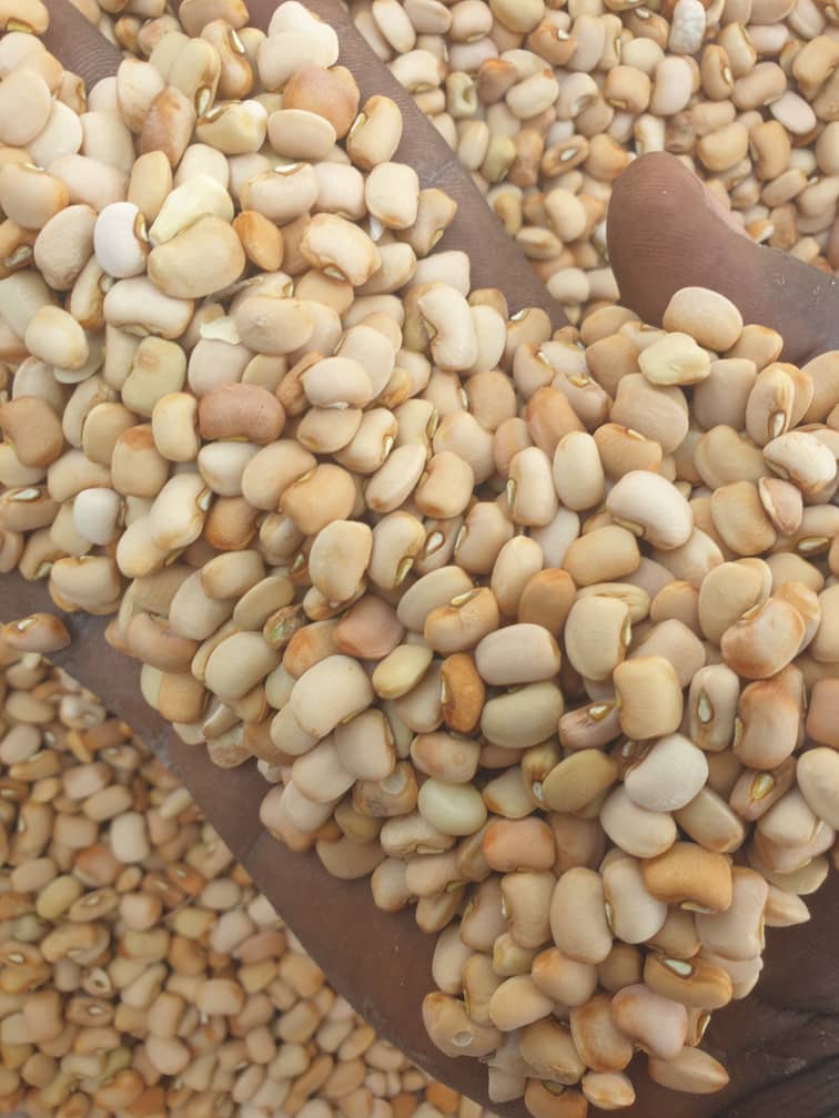 Oloyin Beans