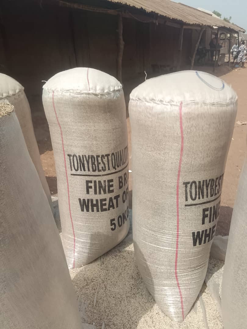 Sesame seed
